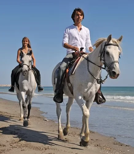 Cabalgata en la playa - horseback riding en Roatán